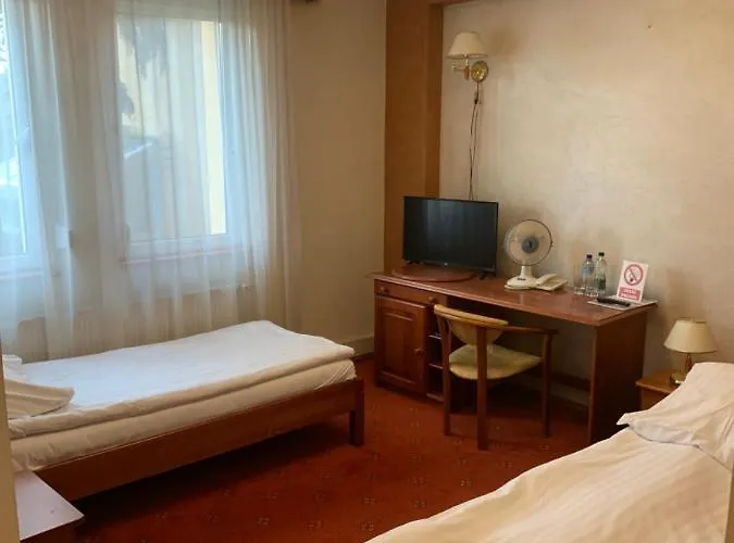 Diament I Brylant Rawicz